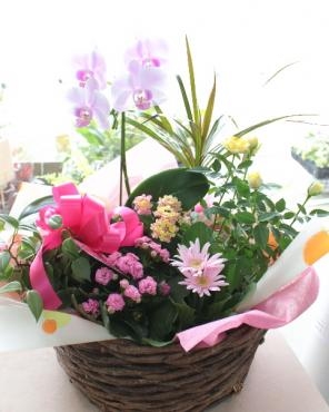 周年記念のお祝いに♪｜「アグレアーブル花や」　（徳島県吉野川市の花キューピット加盟店 花屋）のブログ
