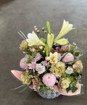 またまた・・・｜「アグレアーブル花や」　（徳島県吉野川市の花キューピット加盟店 花屋）のブログ