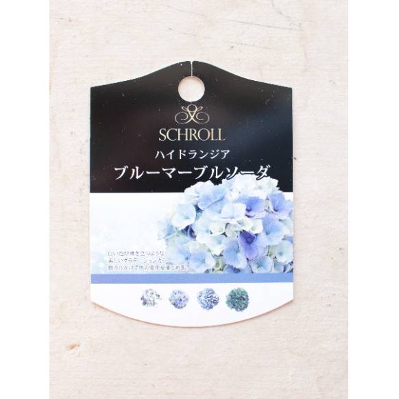 紫陽花 ブルーマーブルソーダ  5号