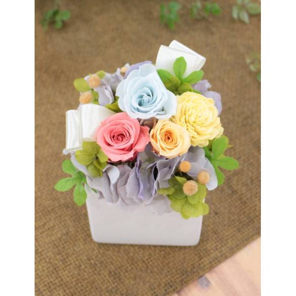 プリザーブドアレンジ「ファーストプリザ/シャーベット」